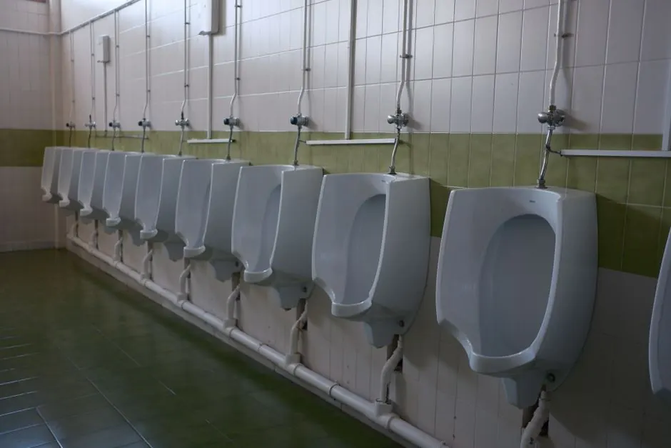 Long row of ceramic urinals in a quiet, tiled public restroom. Clean and modern.